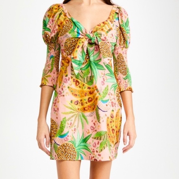 Farm Rio Mixed Fruits Mini Dress. Size Large.